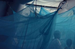 Under The Blue Skies of Agok #4