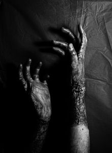 Beautiful hands