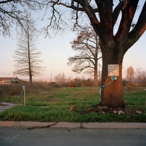 Untitled 01-08                                      ©2008 Colleen Mullins