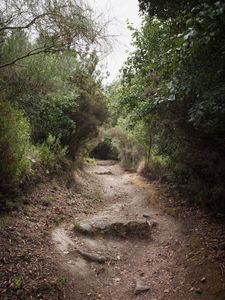 Quiet Isolation | Outland | Salina, Sicily | No. 6