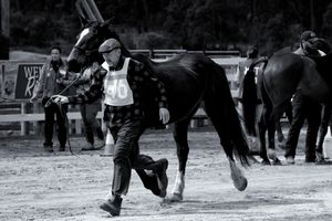 Mark runs with Calypso during pre-event vetting
