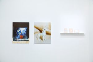 Installation View Circulation(s) 2019, Paris