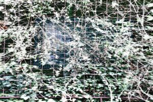 abstract H 02