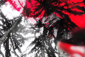 RED-WRECKED