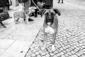 Lisbon, Portugal