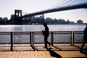 New York's bridges