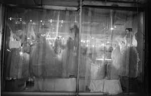 Mokhber al-Dowleh's brides