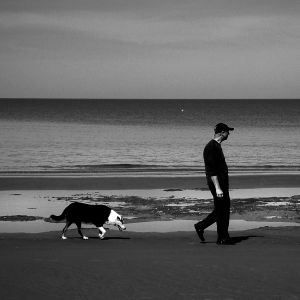 Faithful dog