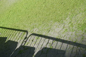 Mowed