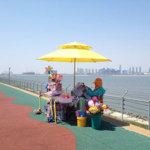 Toy Seller