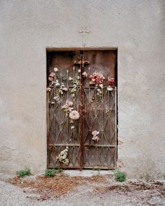 Calabria, 30 x 40 inches, c-print, 2010    © Marisa Portolese