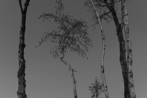 Theatre-8