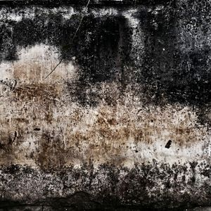 Abstract