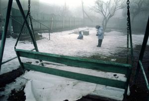 Swing
