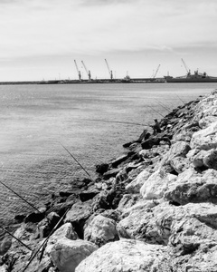 Fishing rods and cranes at Pozzallo