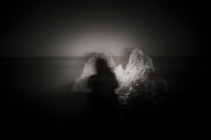 The Silent Twin