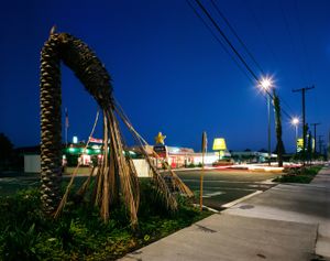 Wilted Palm  © David Paul Bayles