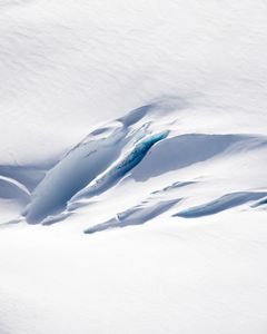 Winter Scar