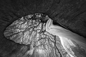 I drive by this tree on my way to work. One day I stopped and asked if I could photograph it. The woman said that she made it into a pirate ship for her kids.