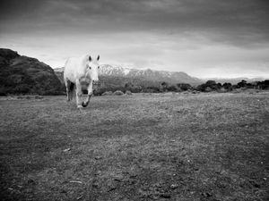 Cabalgando por la Patagonia.