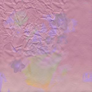 Pressed Flowers #5