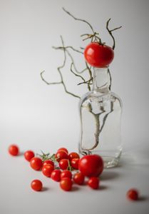 Tomato coral