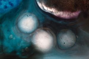Other Worlds