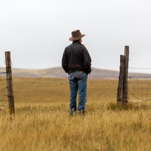 Willow Creek Ranch