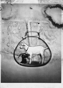 In Goat We Trust