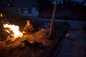 Roasting the dogs.