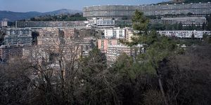 Format à l'italienne. Gènes
