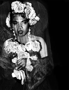Veil and Roses
