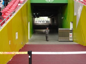 Bird's nest guard 3