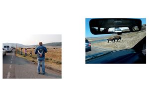 "Twentyone Yellowstone Parking Lots"