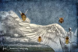 Honey Angel