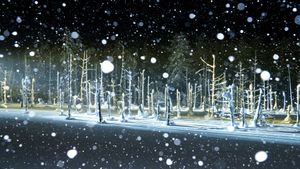 Snowy night part 2.