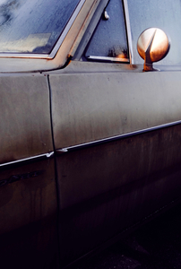 Rusty Bones
