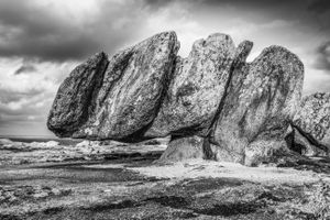 One Million Years Old