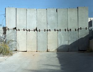 © David Brunetti