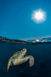 Up to the surface