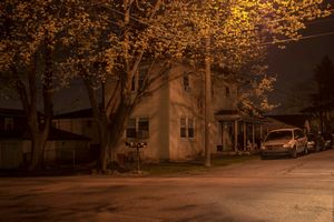 A House under a Golden Tree