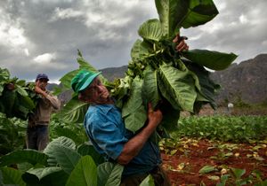 Vinales, 2011