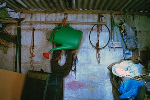 The Shed