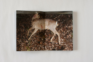 Example from the book