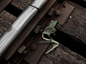 Crushed by progress