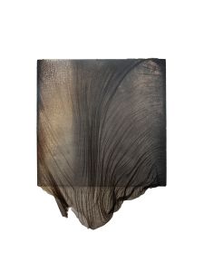 Veil