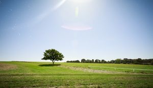 Sun Off Moon - Epsom Downs