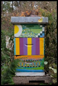 Bee Hive