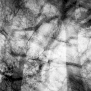 untitled 10