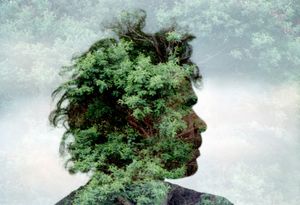 'Tree Spirit'